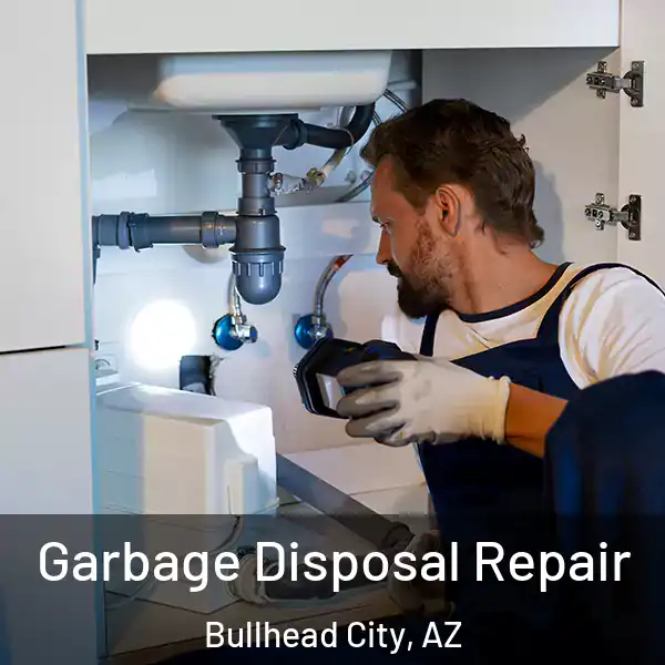  Garbage Disposal Repair Bullhead City, AZ