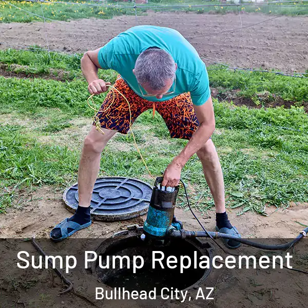  Sump Pump Replacement Bullhead City, AZ